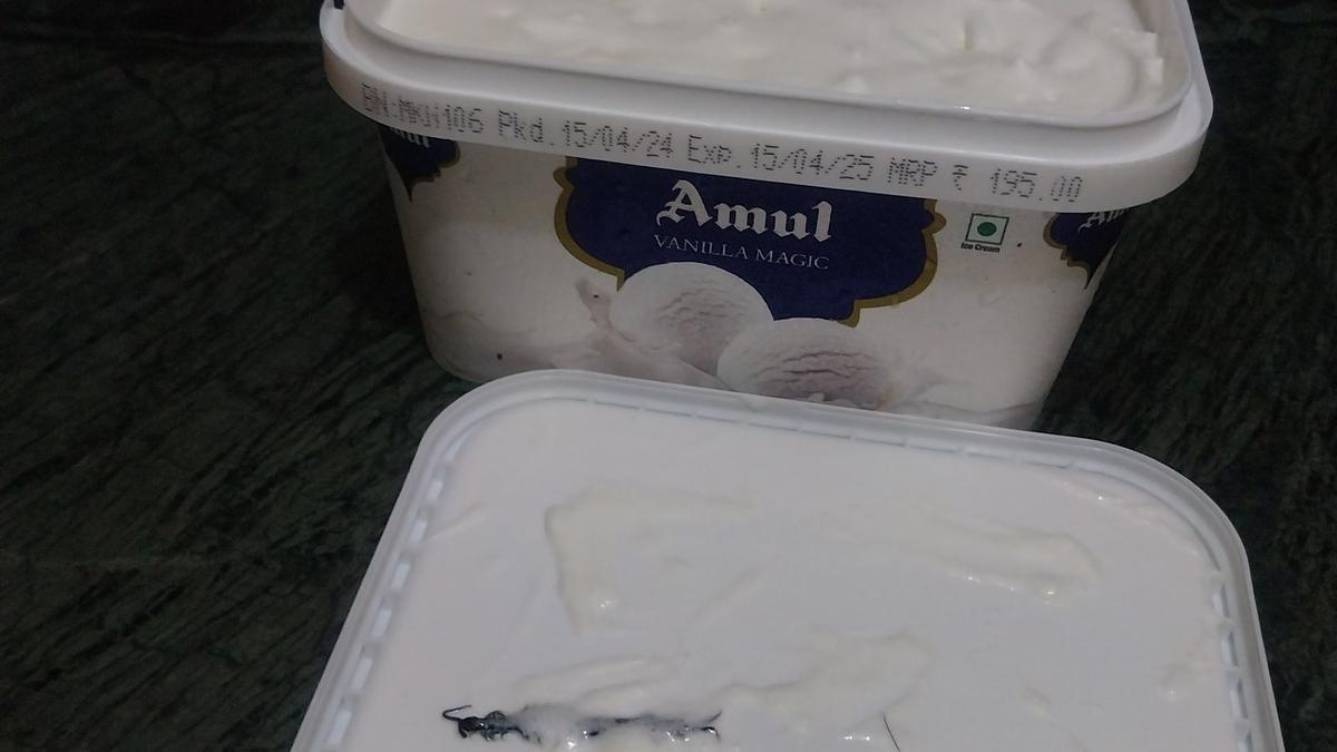 Amul seeks return of ice cream tub from Noida customer for investigation after centipede complaint