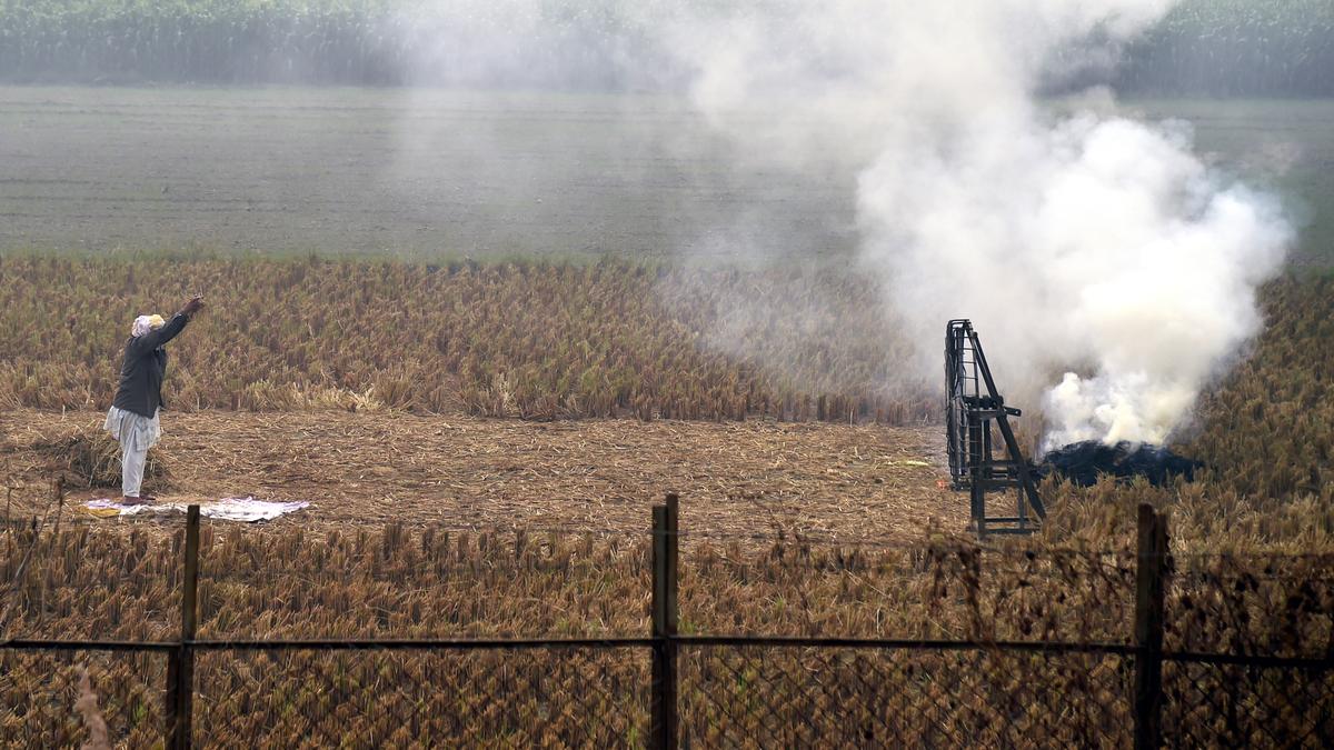 We are unnecessarily being targeted, defamed for Delhi air pollution, say Punjab farmers