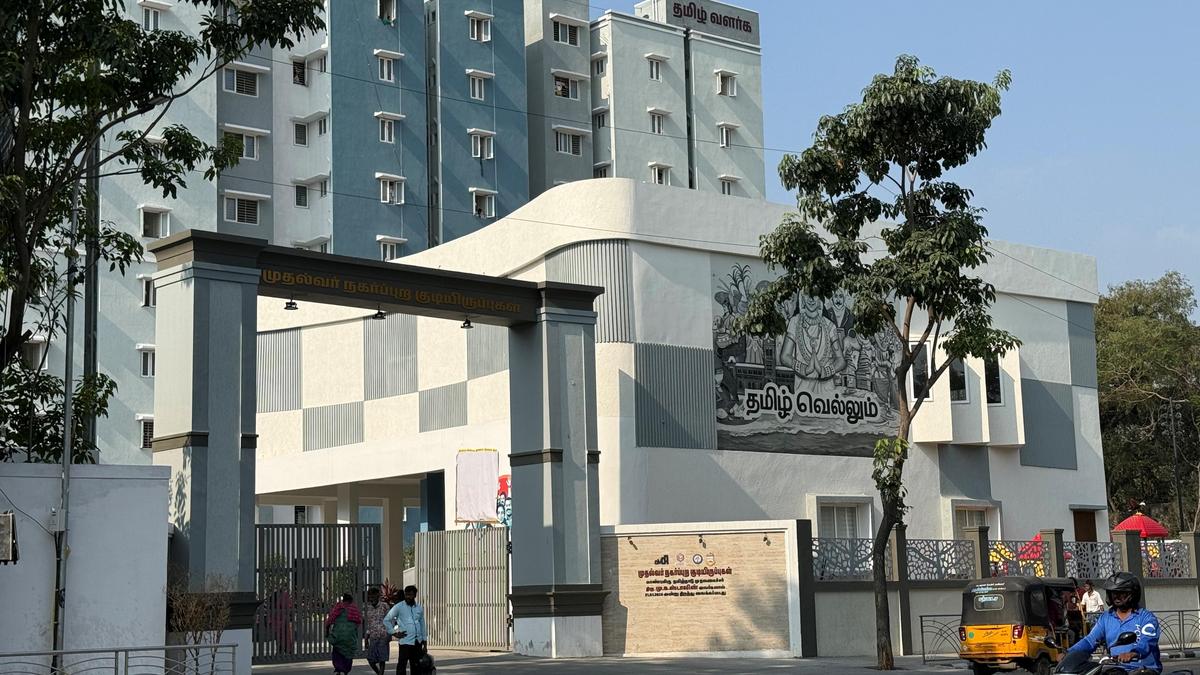 Electors pitch for business development, peace and harmony in Harbour constituency