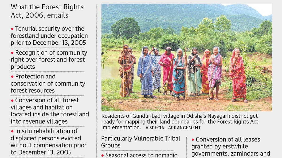 Forest Rights Act: well begun, and now Odisha is ready for the home run