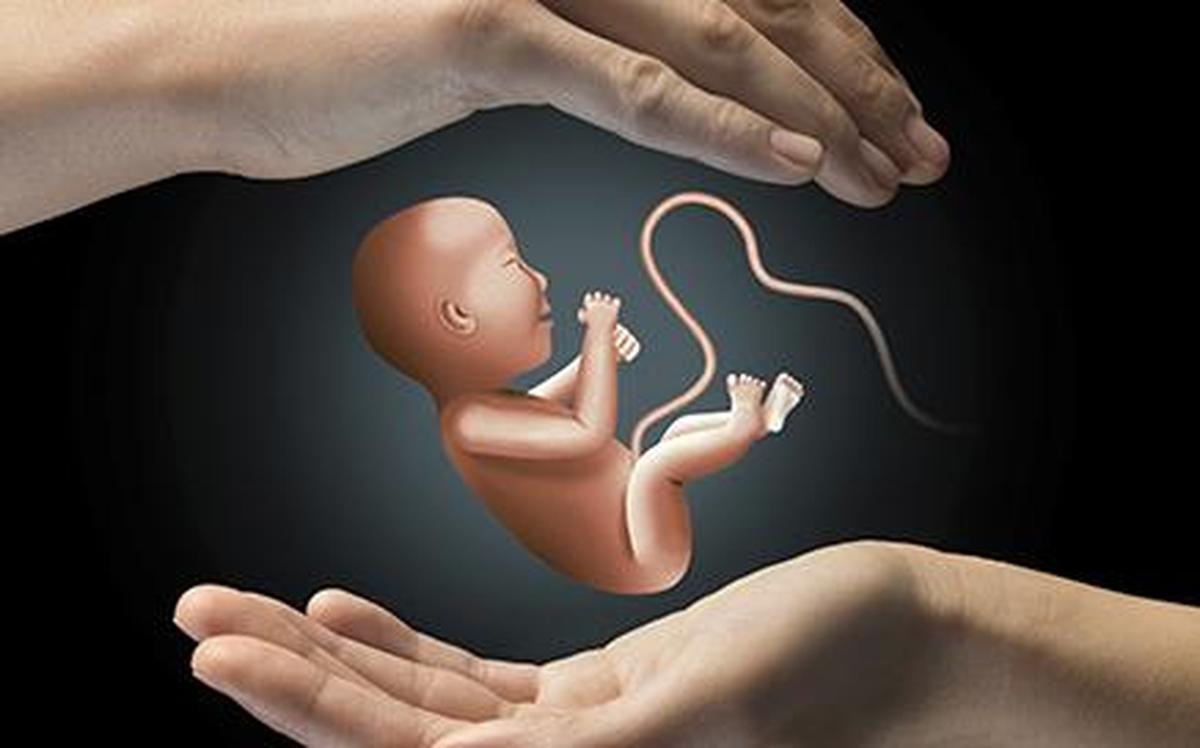 Koppal teen pregnancy case: Karnataka Child Rights Commission registers suo  motu complaint - The Hindu