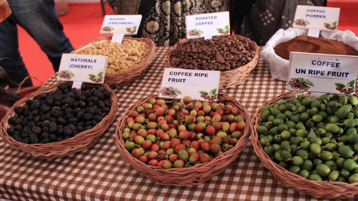 Coffee Dasara, held in Karnataka’s Madikeri, highlights issues plaguing growers