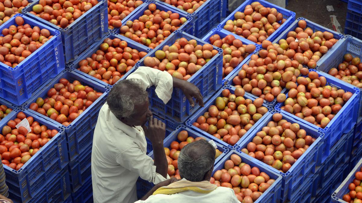 Tomato prices expected to fall after higher supplies from Maharashtra, Madhya Pradesh, says Centre