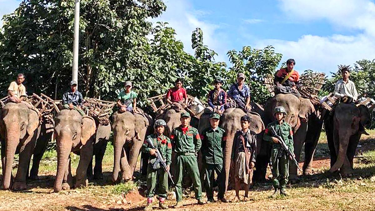 Myanmar communists take in liberated elephants as battle against junta rages