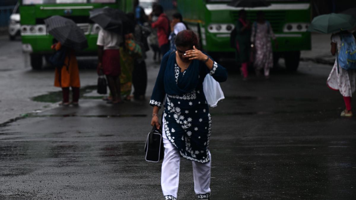 Kollam fully equipped for monsoon: Collector