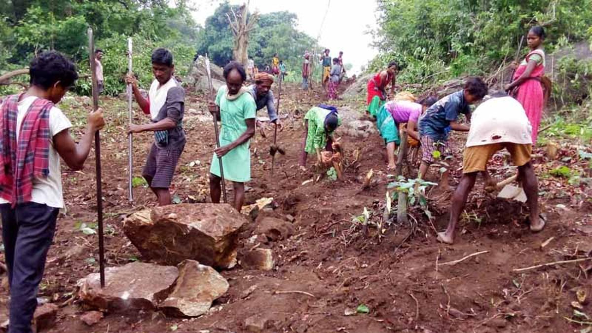 Tribal people lay road in ASR district of Andhra Pradesh after their pleas go unheard