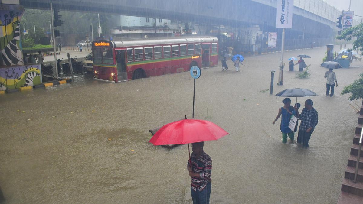 IMD predicts rain, thunderstorms in Maharashtra; holiday for schools in parts of Vidarbha and Raigad