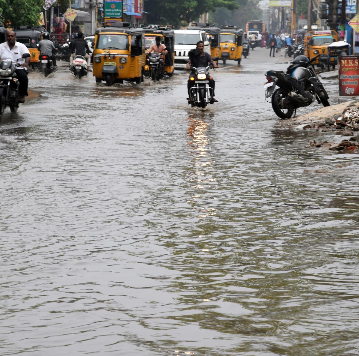 Thoothukudi experiences widespread rain