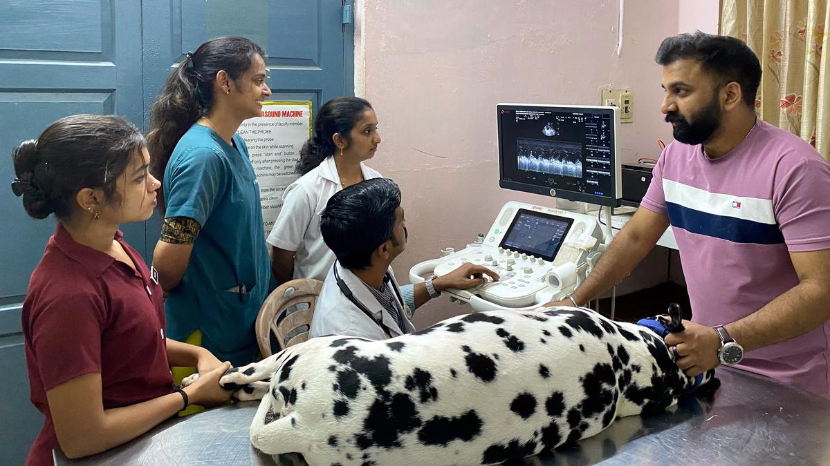 Why cardiovascular diseases in pet dogs are on the rise in Kerala