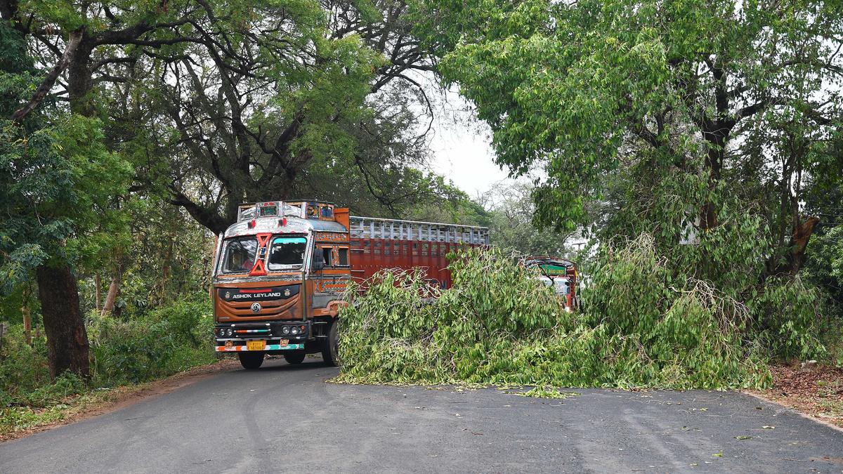 Widespread rain to continue for three more days in Andhra Pradesh