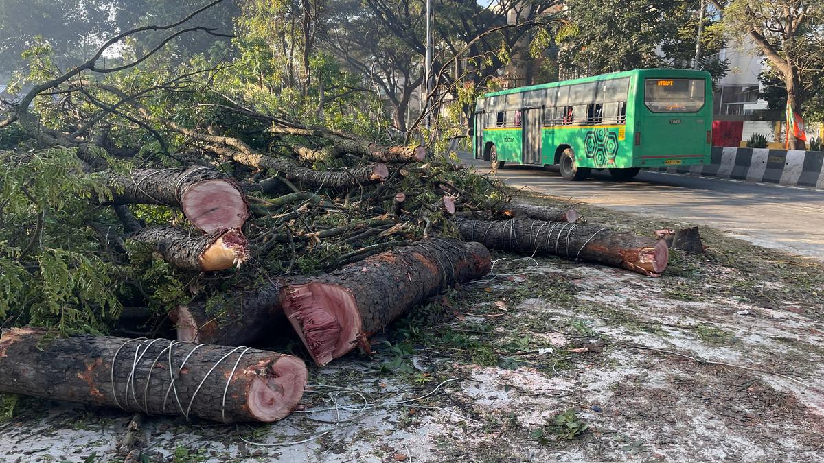 BBMP’s forest cell permits axing of over 800 trees for three projects in Bengaluru