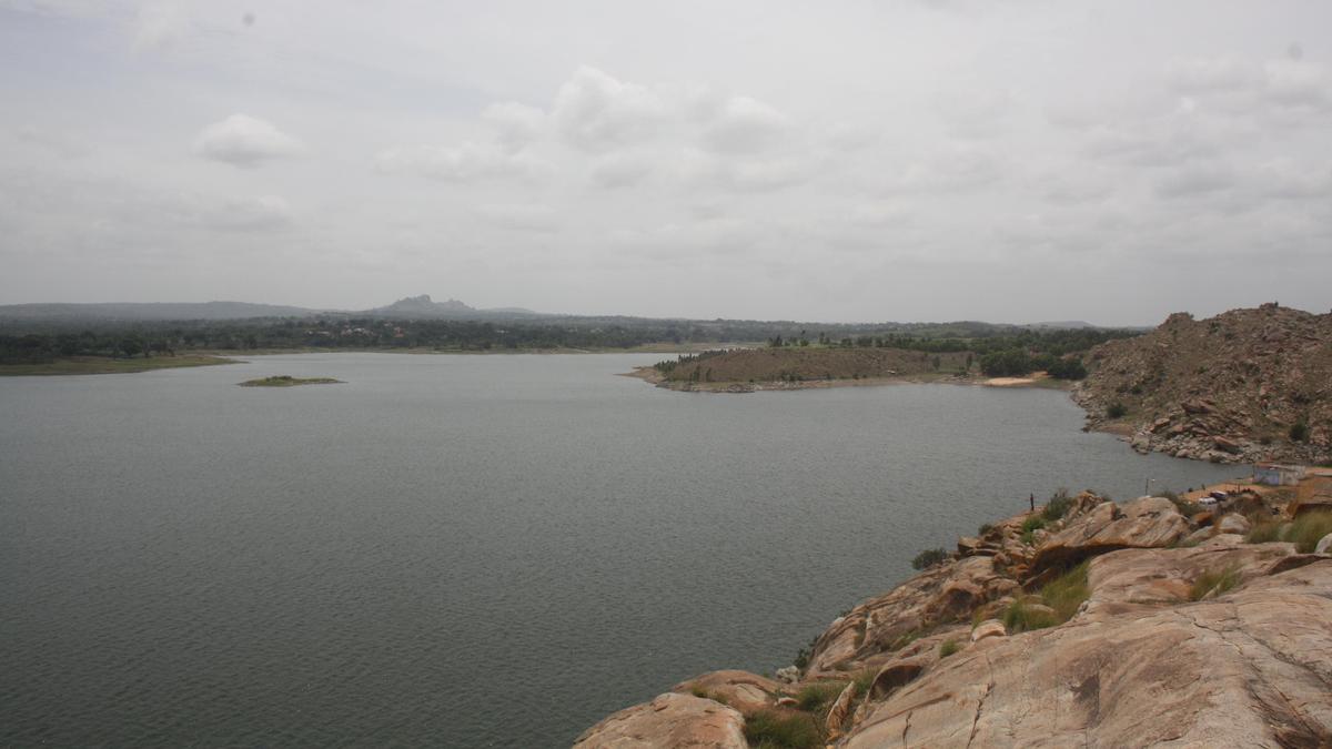 Promote fisheries in areas with year-round water availability: Mandya DC