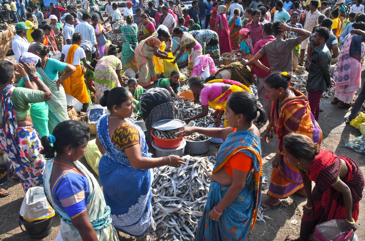 A fisherwoman auctioning dry fish brought by mechanised boats during long voyage at the Fishing Harbour in Visakhapatnam 