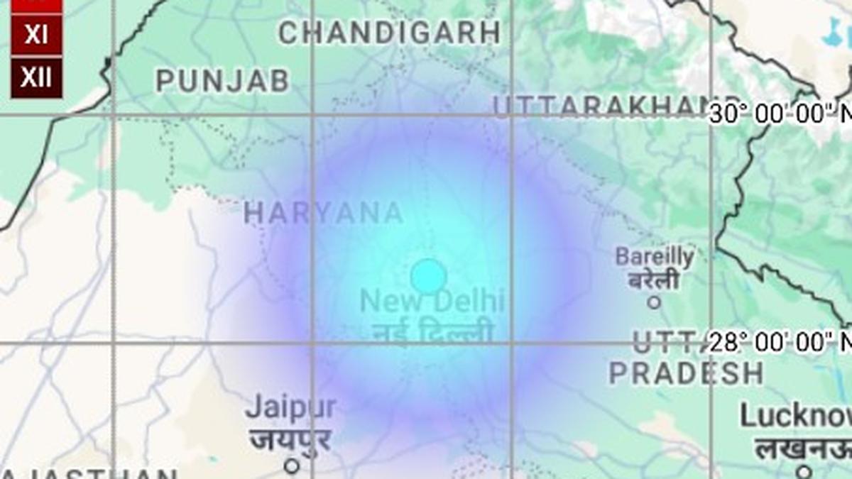What is a shallow earthquake that struck Delhi?