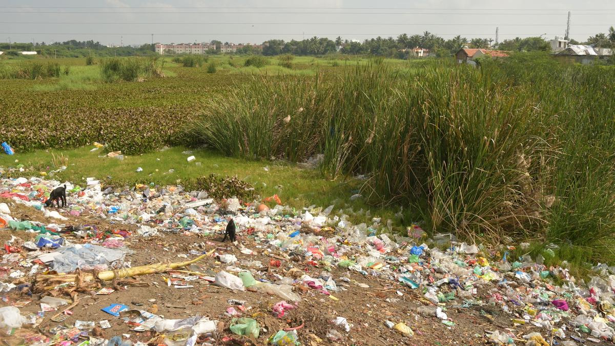 Kollankulam beautification project faces legal hurdle