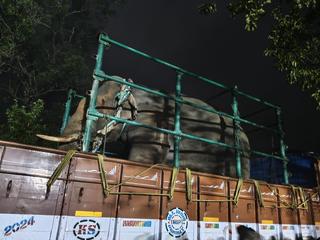 Resorts and safaris among reasons for wild animals coming out of forests: Karnataka  CM - The Hindu