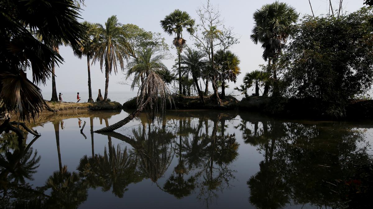 NGT directs authorities to demolish hotel constructed in Sundarbans