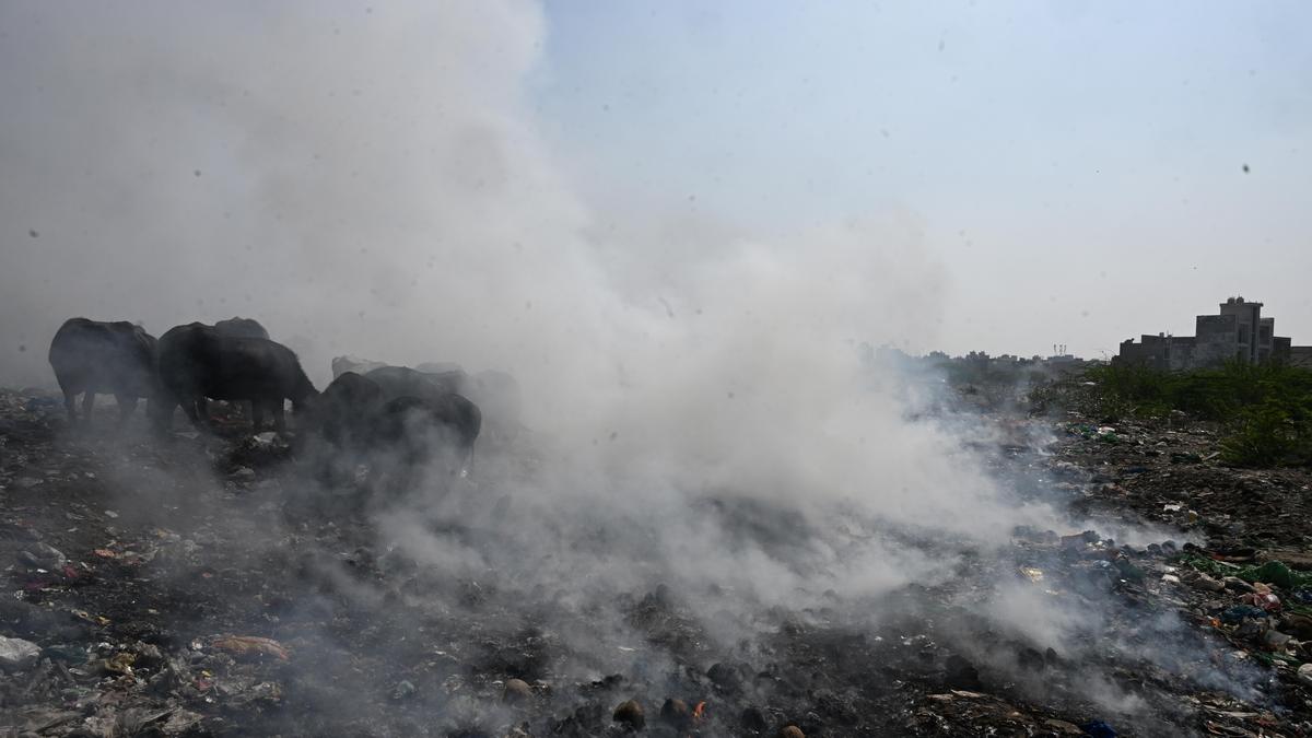 Congress slams Govt on rising pollution, demands review of National Ambient Air Quality Standards