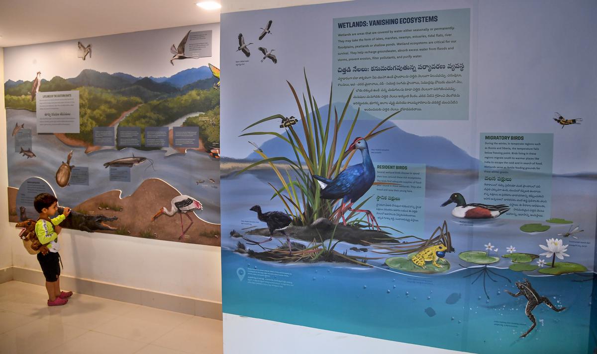 A child going around the first-of-its-kind Nature Interpretation Centre, a new section at the recently-inaugurated Eastern Ghats Biodiversity Centre near PM Palem in Visakhapatnam.