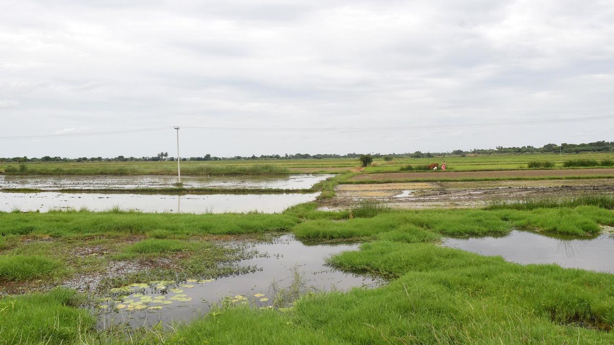 Parandur airport: High-level committee formed to study issues and recommend solutions