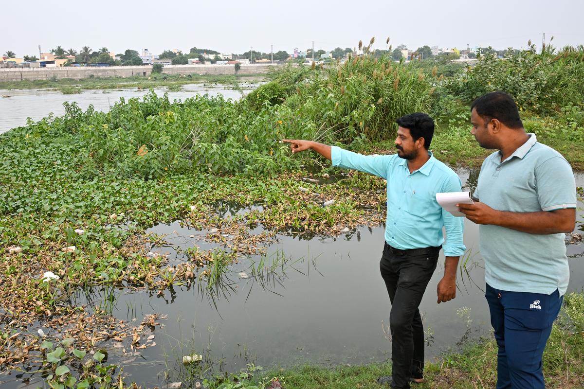 The team from  Madurai Nature Cultural Foundation checking pollution level in Vaigai river in Madurai. 