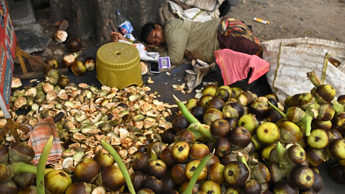 Erratic weather deals a blow to ice apple vendors in Vijayawada