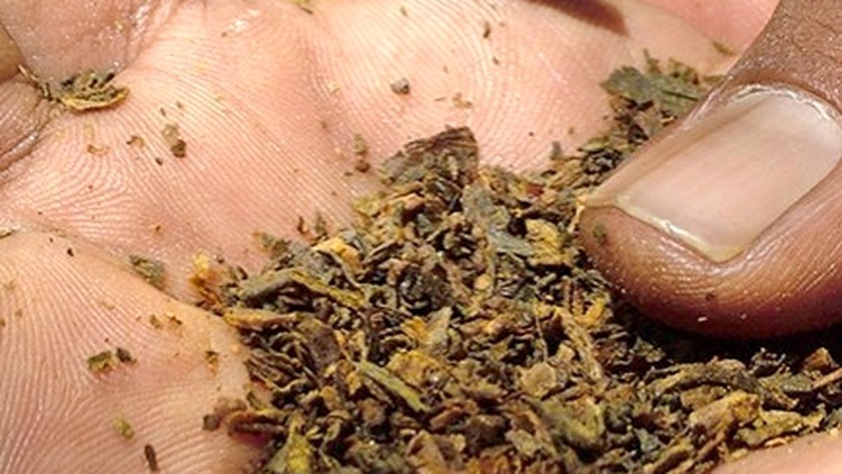 64 villages in Coimbatore declared tobacco-free