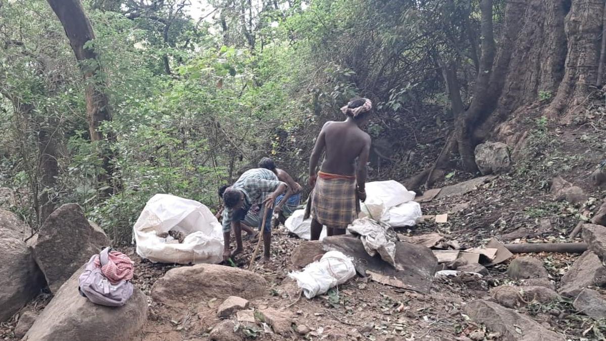 Over 7 tonnes of garbage left by pilgrims removed from Vellingiri hills, cleaning continues