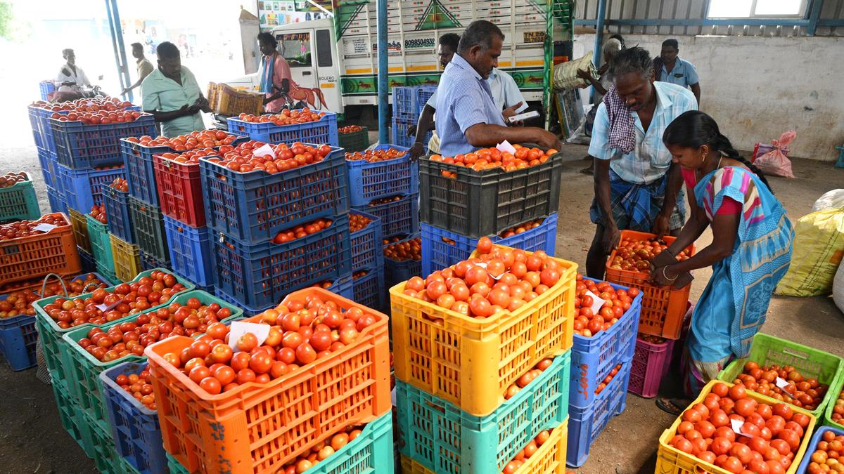 Tamil Nadu election 2026: New taluk, hospital upgrade, bus services key demands in Senthamangalam constituency