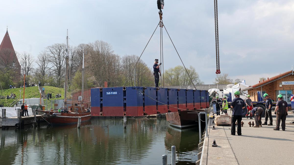 Why German Rescuers Are Betting on Air Cushions for Timmy the Whale