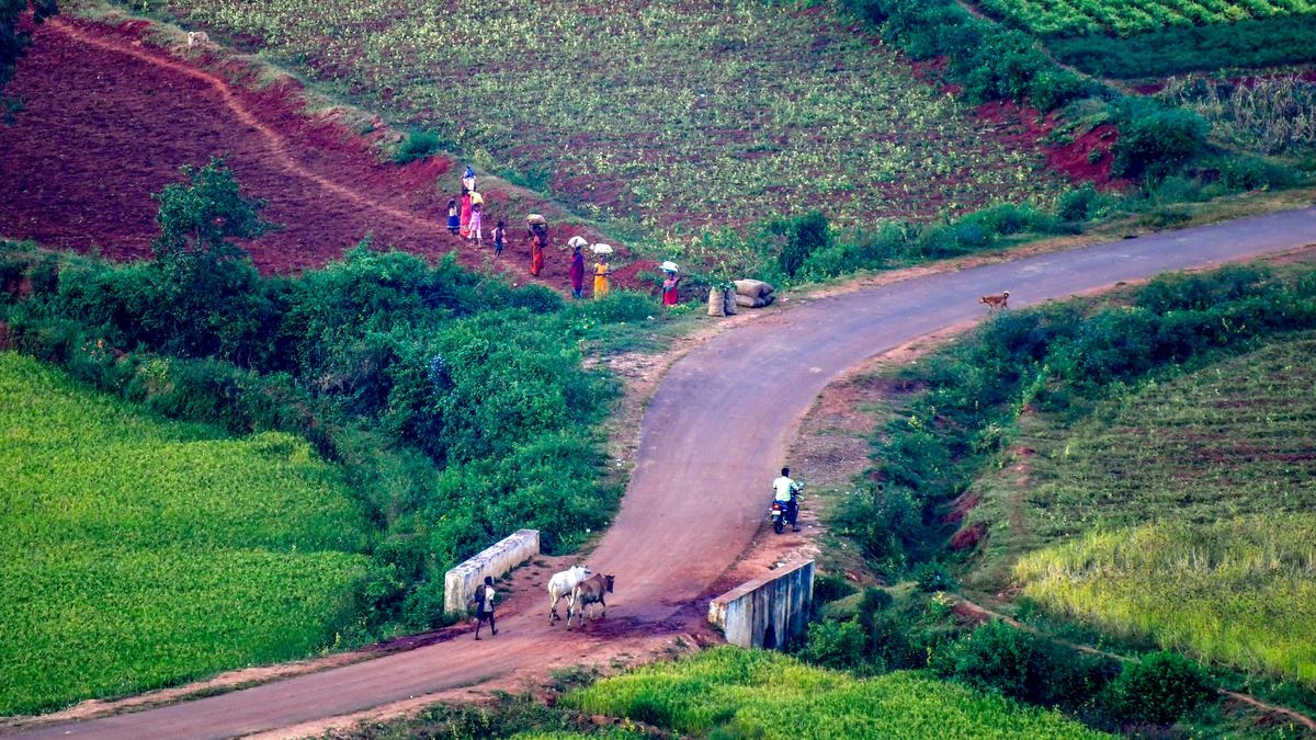 In Frames | Winter harvest