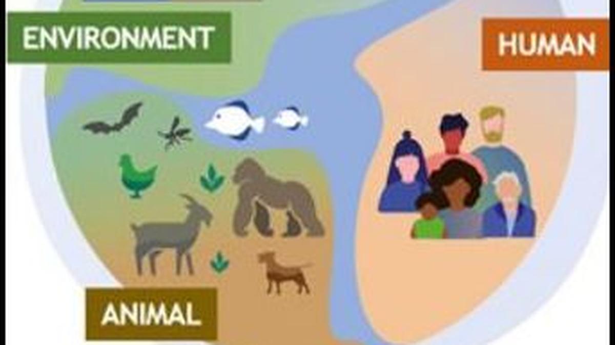 Science quiz: On environmental health