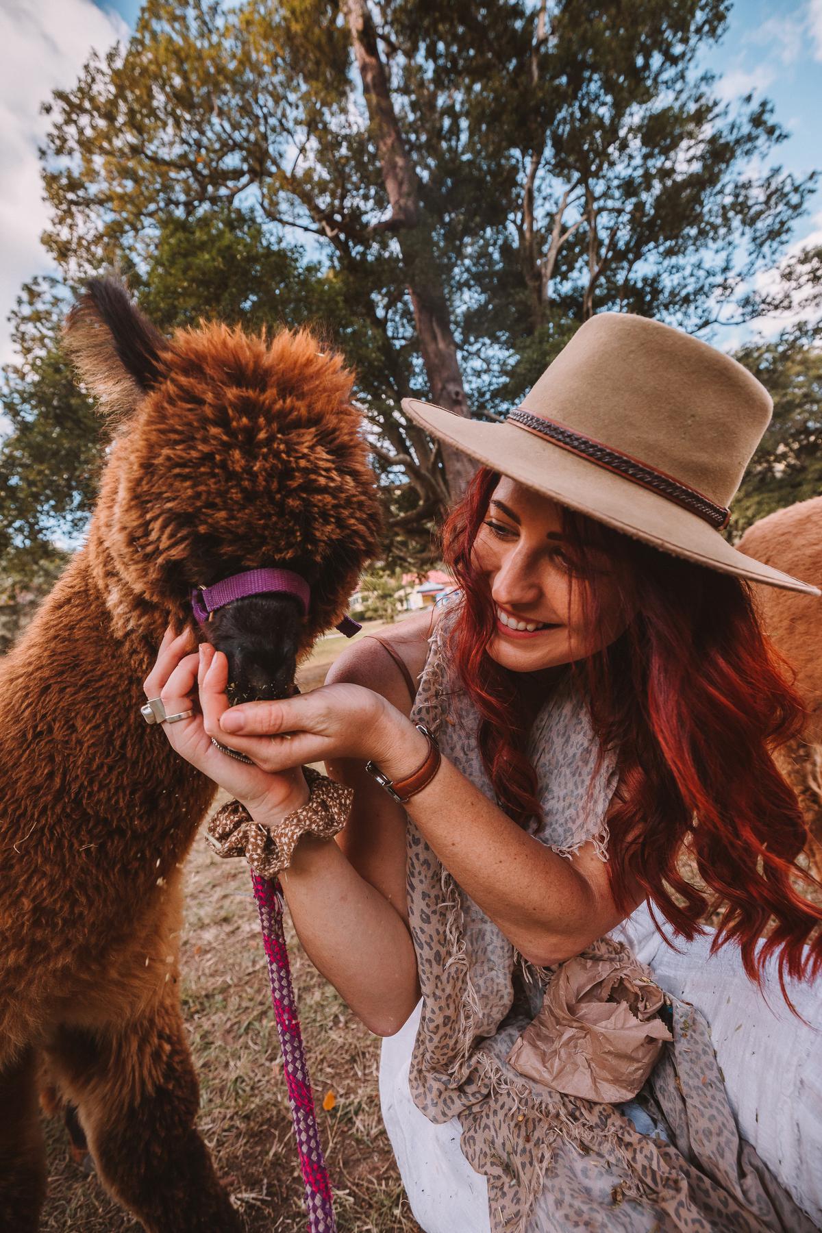 Want to walk an alpaca? Head to this farm in Australia where you