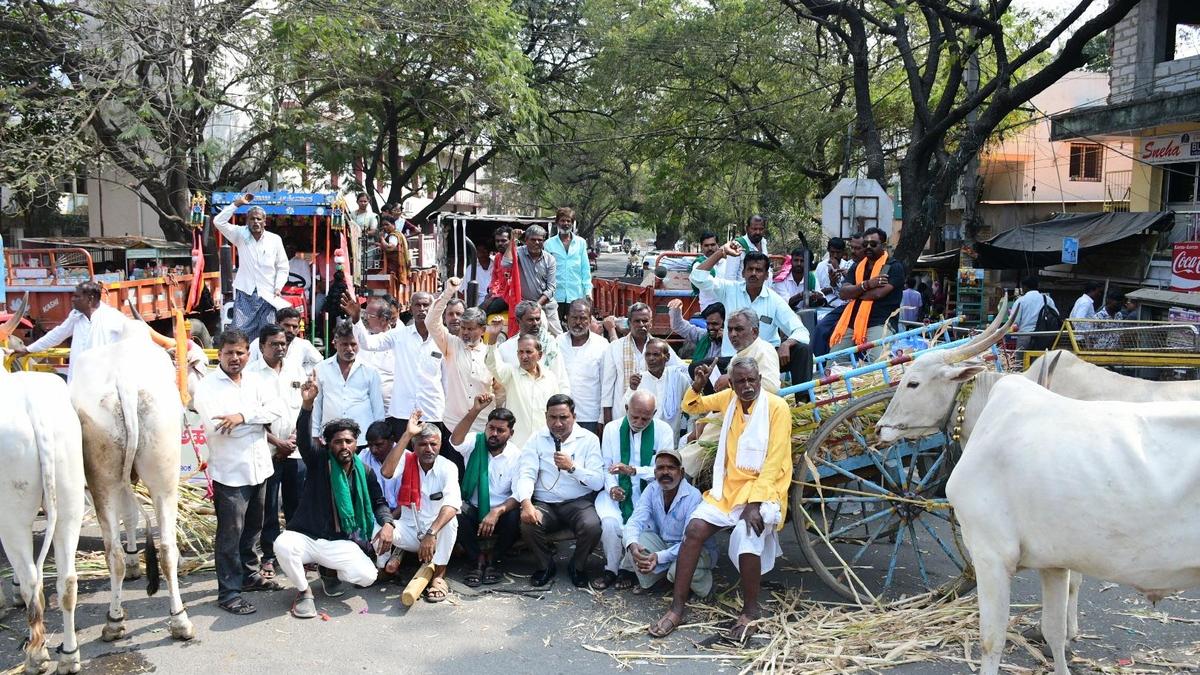 Red gram growers stage protest in support of demands