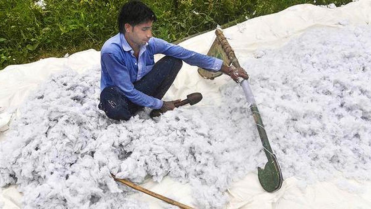 Government exempts import duty on cotton till October 30