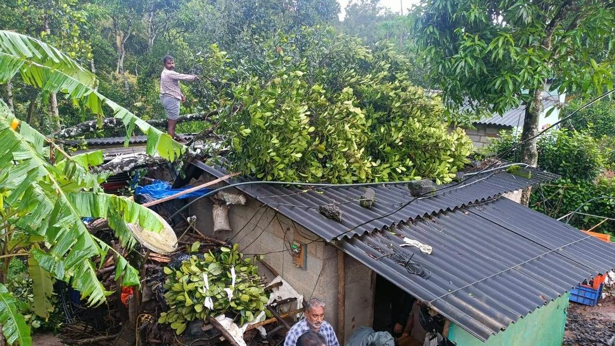 10 houses fully and 56 partially destroyed in Idukki