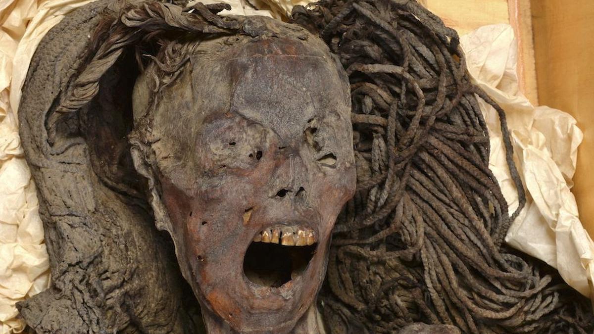 Ancient Egypt's 'screaming' mummy woman may have died in agony