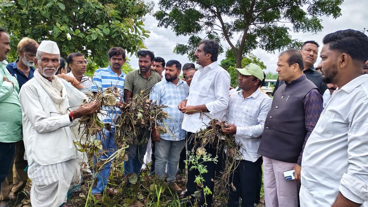 Ministers, MP inspect flood damage in Bidar district