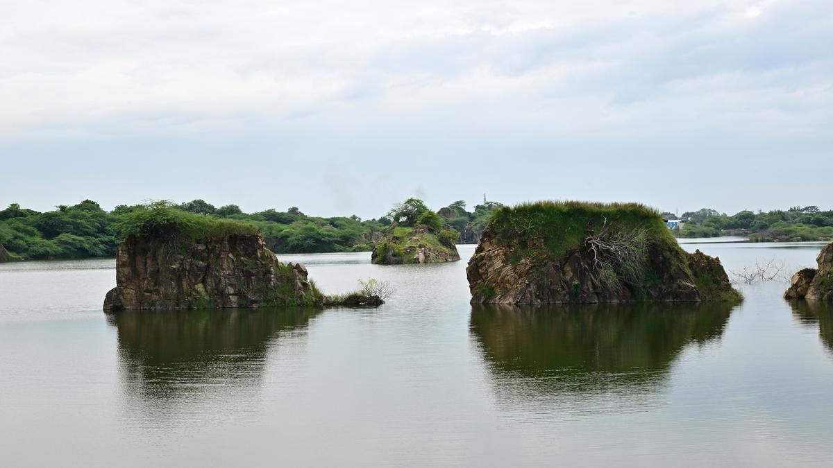 T.N. government will roll out digital database portal for water management by December: WRD Secretary