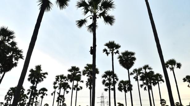 A teacher&rsquo;s green mission in Odisha&nbsp;