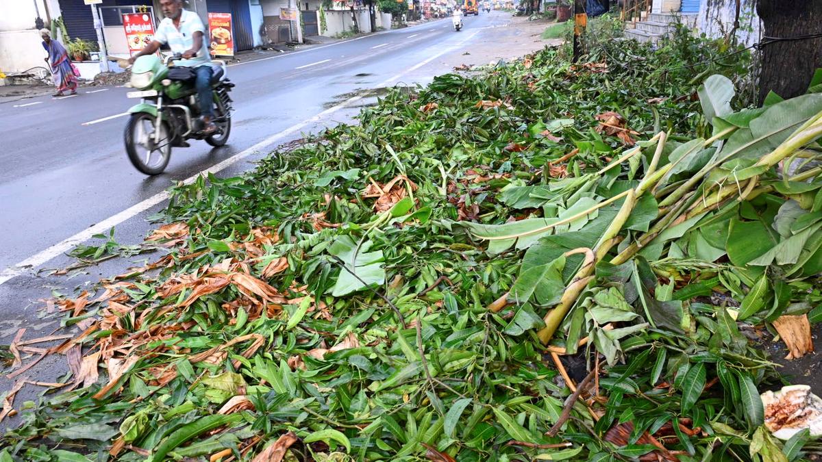 Erode Corporation begins clearing garbage piled up after puja celebrations