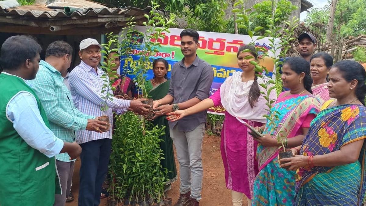 Avocado added to list of alternative crops to check ganja cultivation in ASR district of Andhra Pradesh