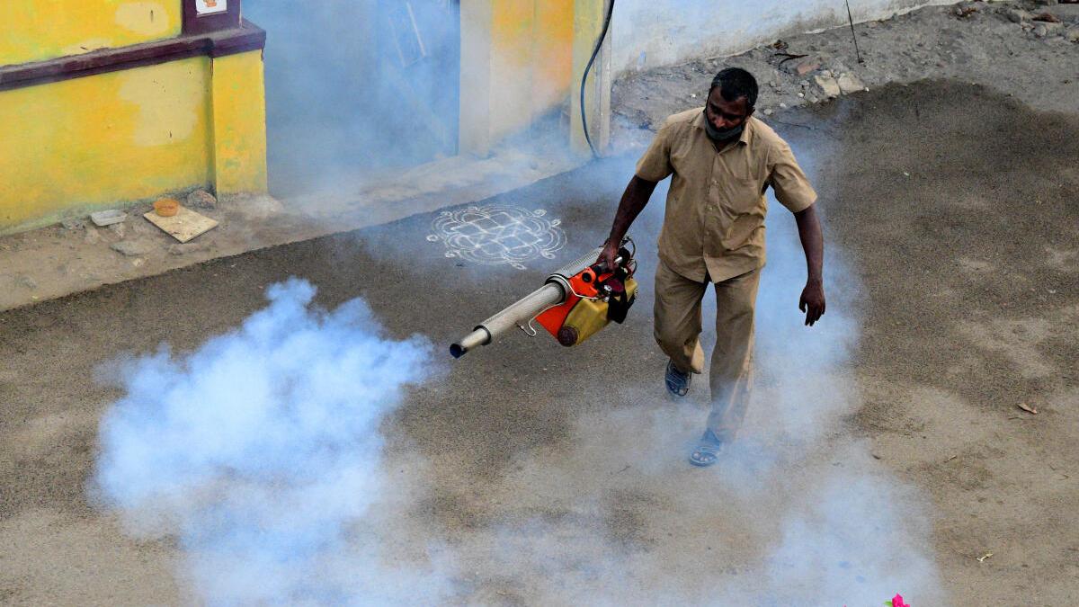 Les averses d’été déclenchent une veillée contre la dengue dans le district de Coimbatore