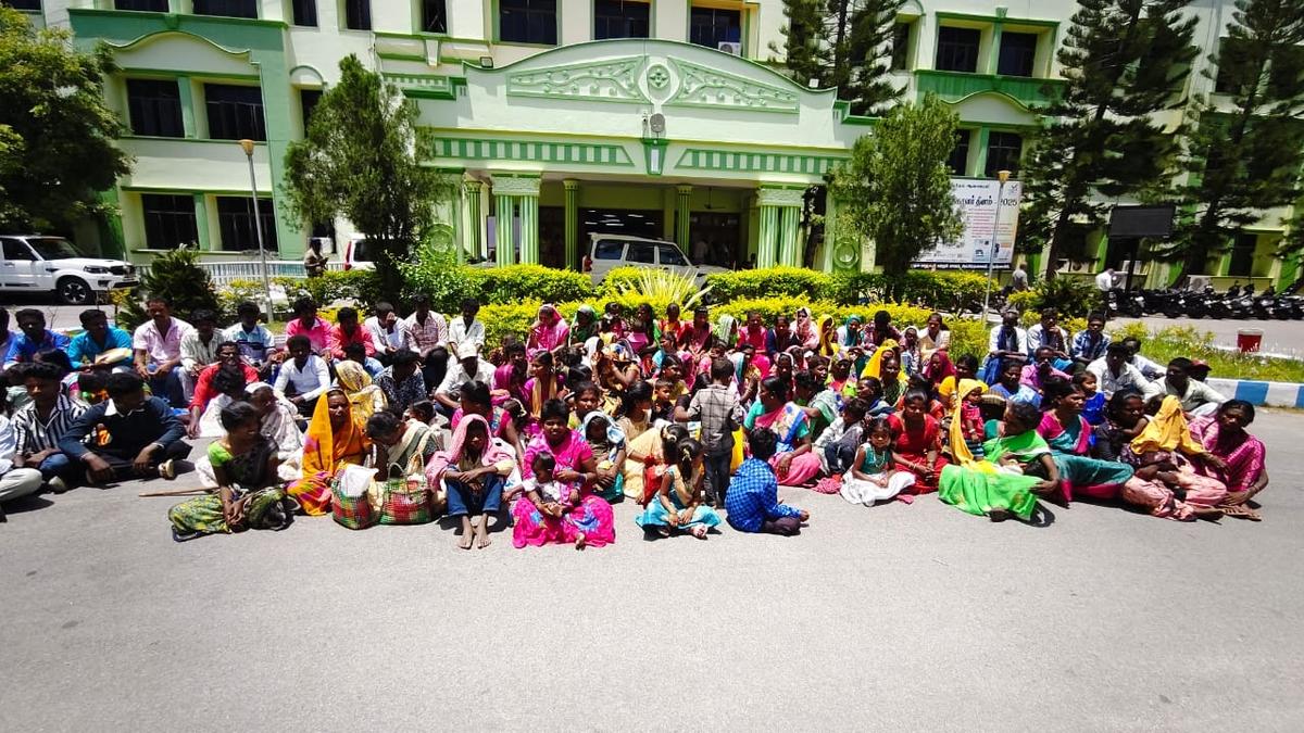 Irulas demand implementation of FRA in Krishnagiri