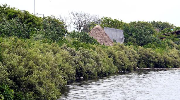 Carbon sequestration study to be taken up in Tholkappia Poonga