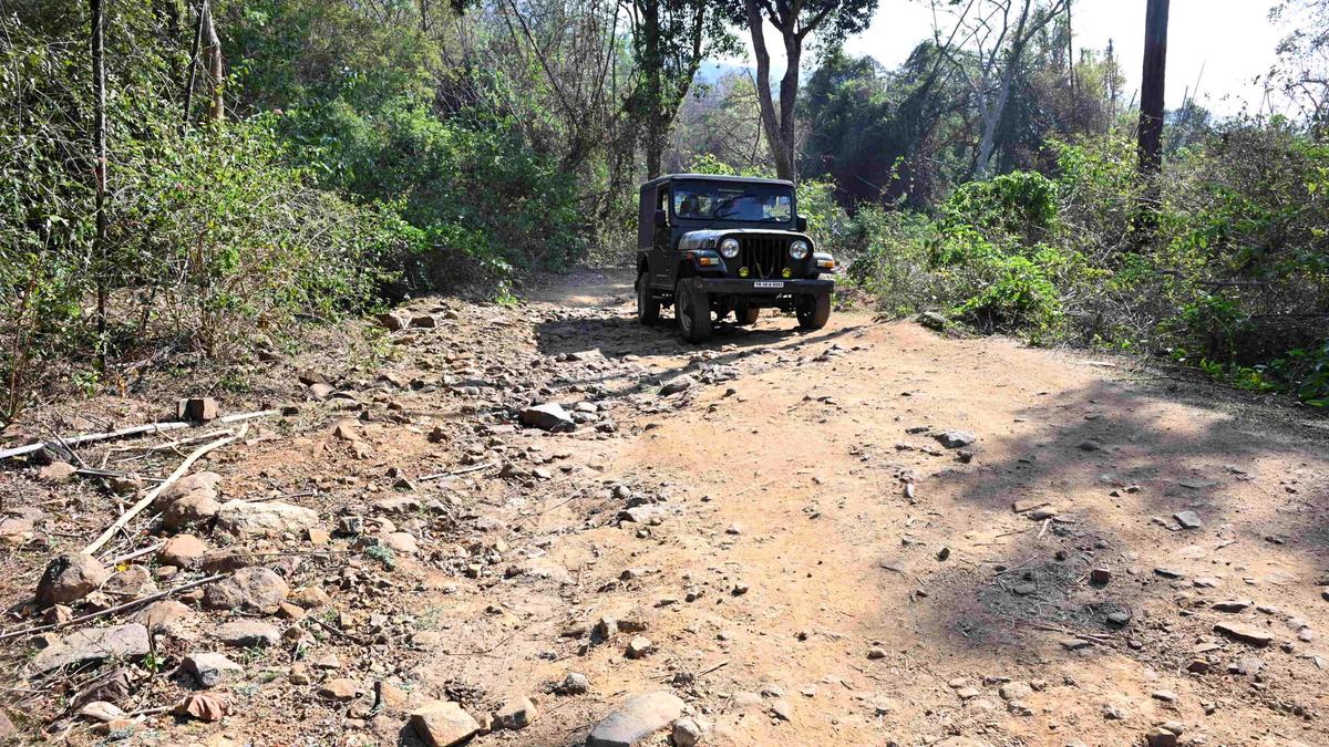 ‘Lay road, seek votes’: Sundapur villagers in Bargur Hills demand connectivity