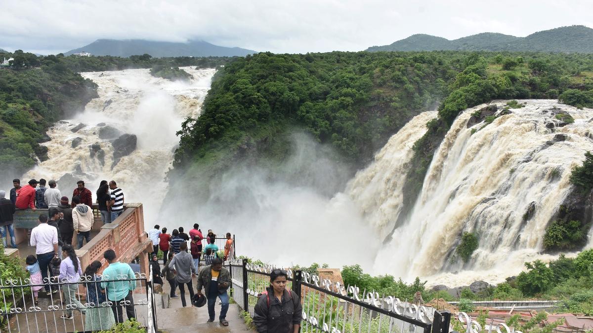 Mysuru: Monsoon tourism gains traction as rivers overflow