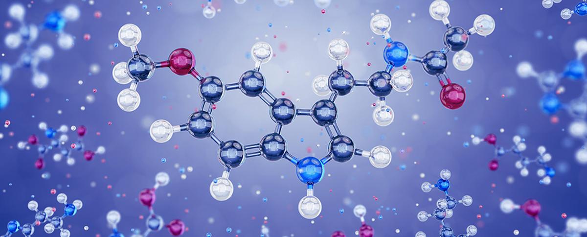 A 3-D model of the hormone melatonin that assists sleep and is sometimes used as a sleep aid to help with jet lag A 3-D model of the hormone melatonin that assists sleep and is sometimes used as a sleep aid to help with jet lag