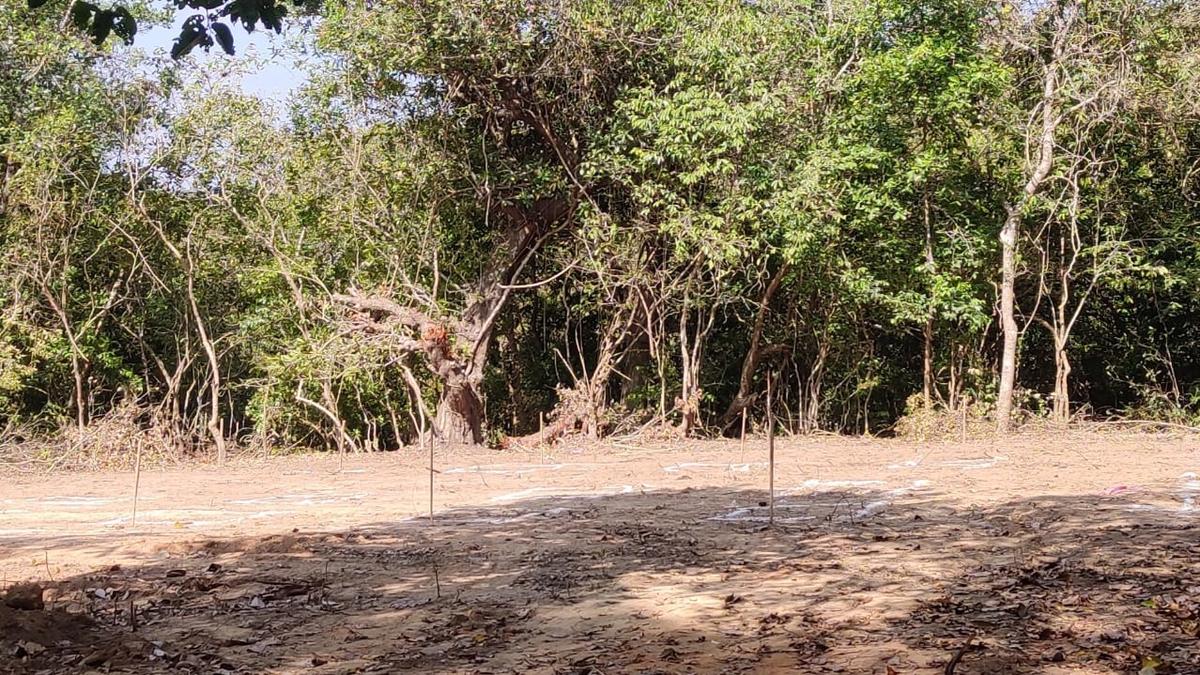 Kuvempu admirers, environmentalists object to concrete structures near Kuppali memorial