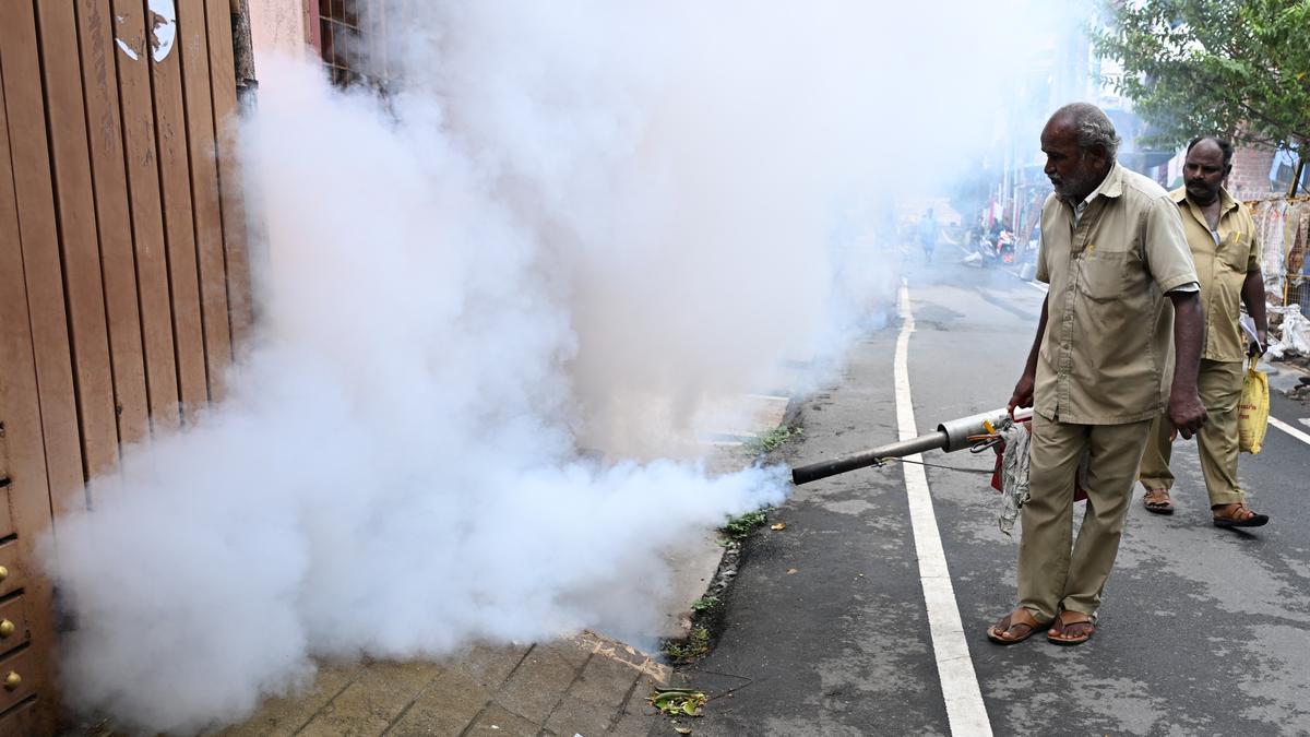 Dengue preventive measures intensified in Salem Corporation